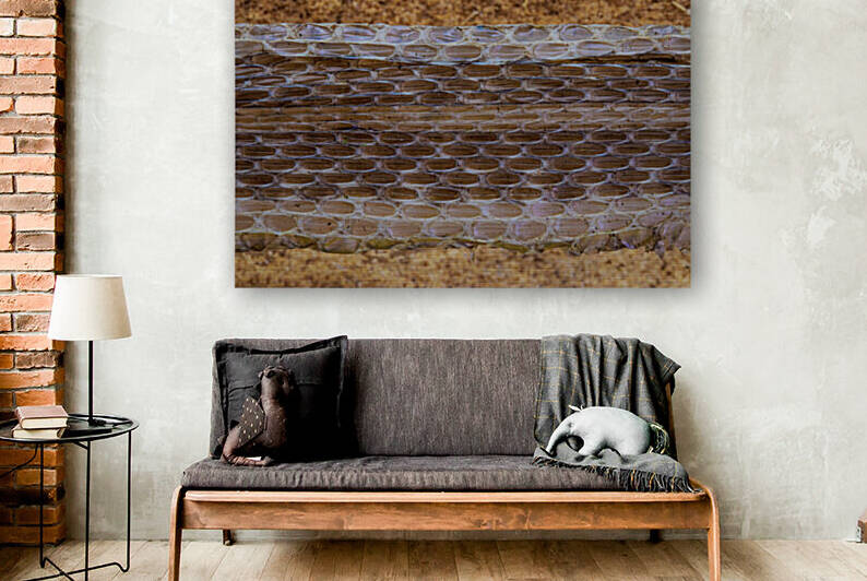 Garter Snake skin shed by Joe Riederer