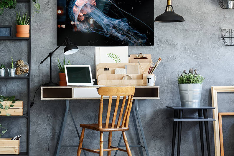 Jellyfish Pelagia Noctiluca - Taken at Gordo Banks near Cobo San Lucas  by Darren Jackson
