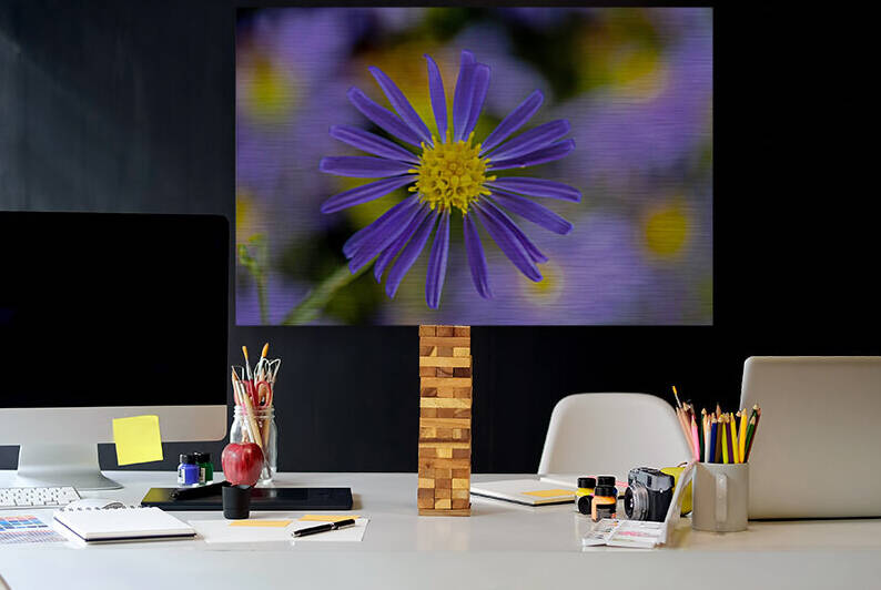 Sky Blue Aster by Joe Riederer