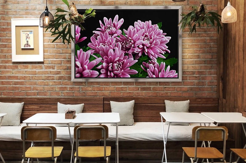 autumn chrysanthemum flowers by GrapyArt