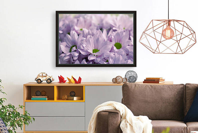 closeup bouquet beautiful light lilac chrysanthemums spring flowers by GrapyArt