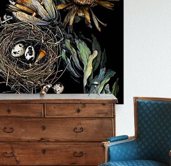 Protea and Birds Nest by Jane Baron