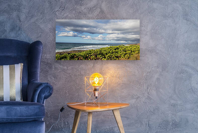 Braving The Waters by Eli Arroyo