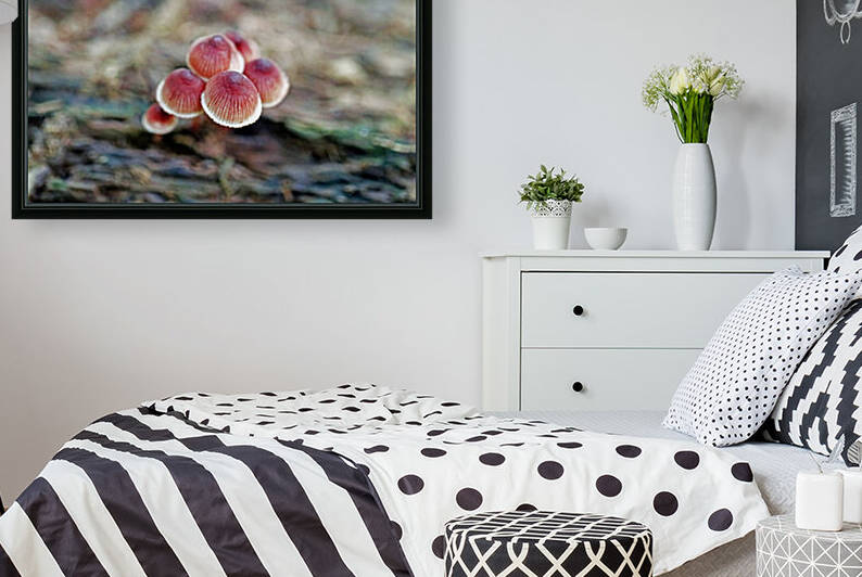 Tiny  Mushroom Cluster by Deb Oppermann