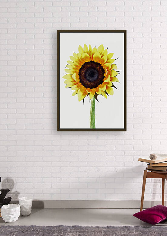 Sunny Sunflower by Brenda Lawlor