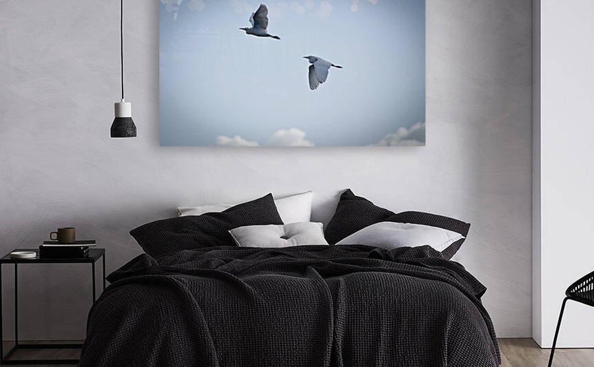 Birds duo by Fabien Dormoy