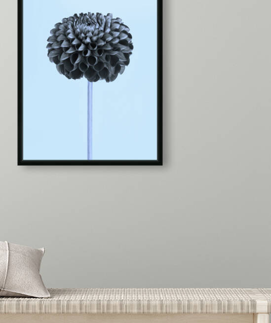 Oh Sweet Dahlia  by Brenda Lawlor