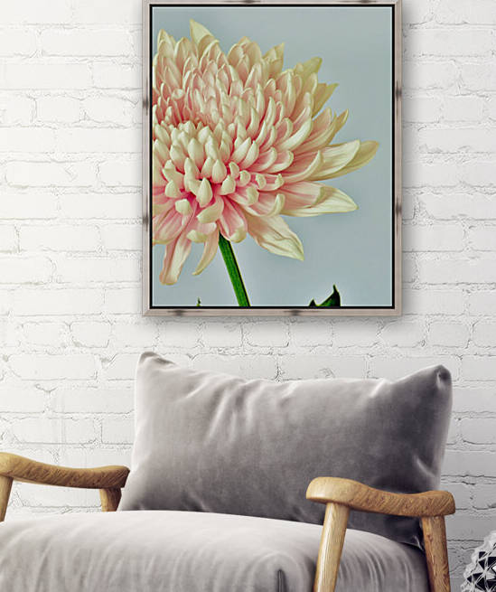 Fresh by Brenda Lawlor