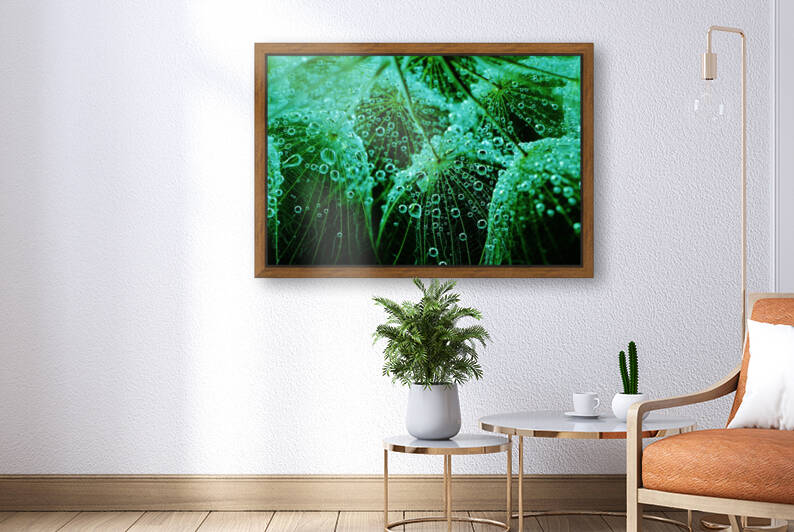 Refresh by Brenda Lawlor