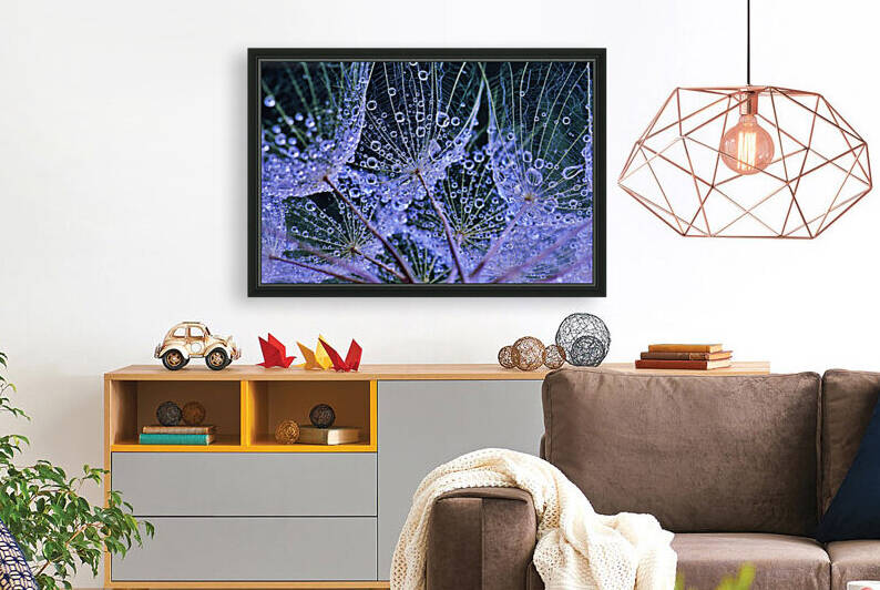 Rainy Day Salsify by Brenda Lawlor