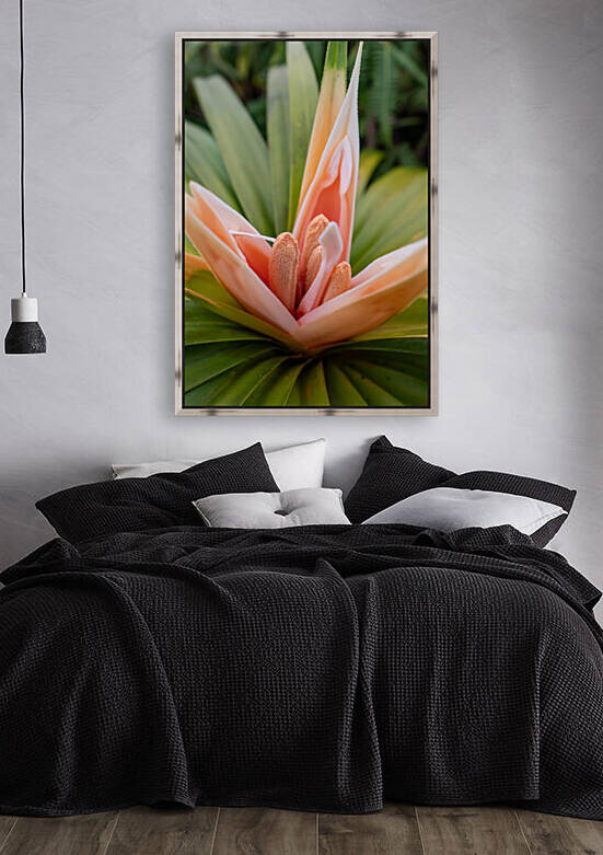 ʻIeʻie by Noah Lang