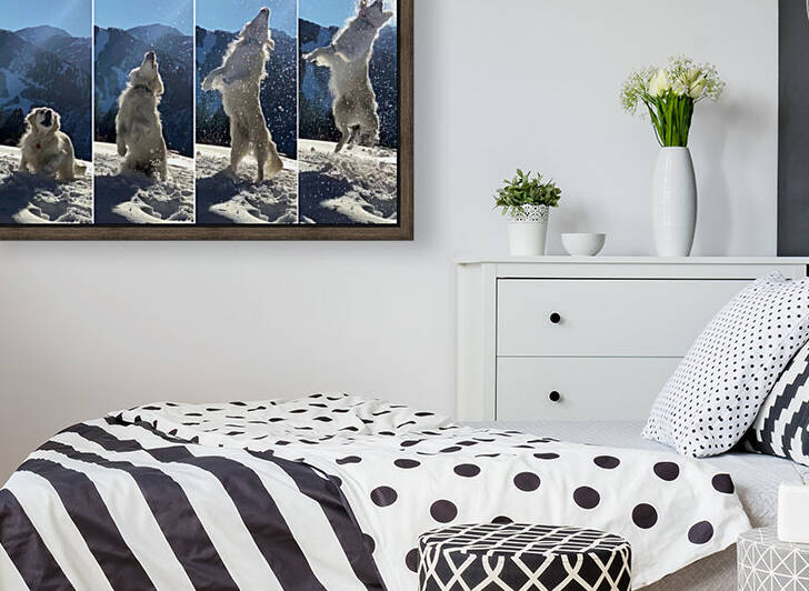 Skyler Hosier   Catching Snowballs by adupont48