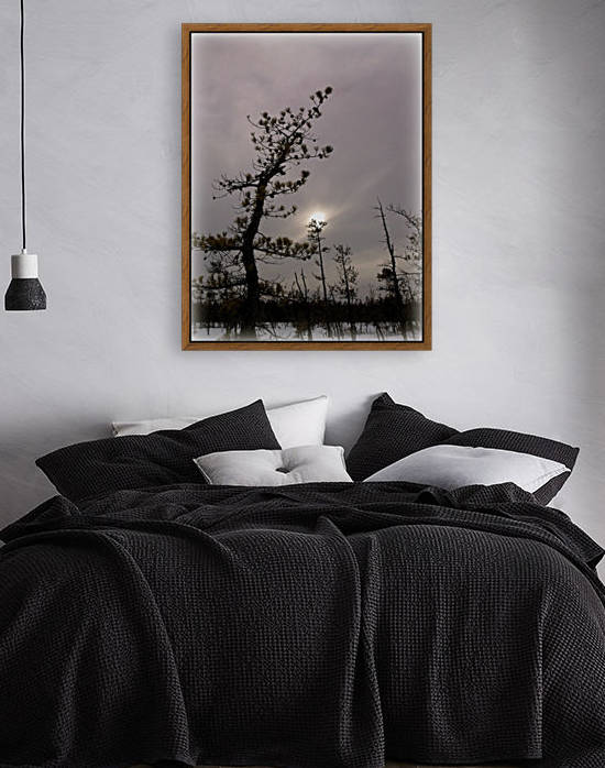 Winter sky by Sue Bonior