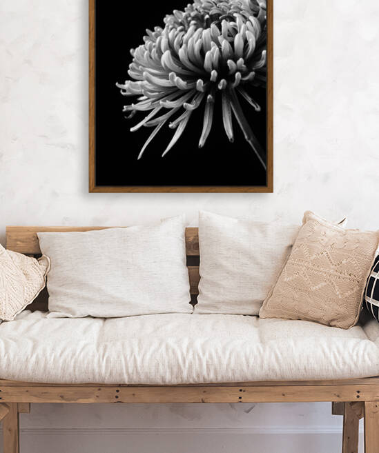 In Full Bloom by Brenda Lawlor