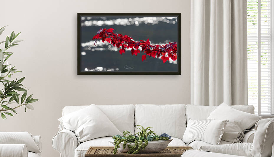 En suspension by Sophie Thibault