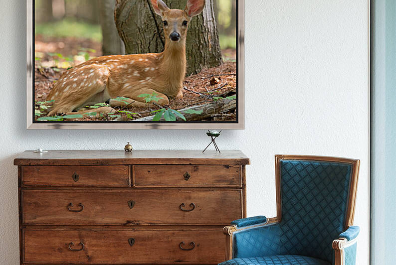 Abandon by Sophie Thibault