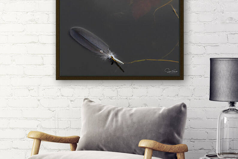 Goutte de plume by Sophie Thibault