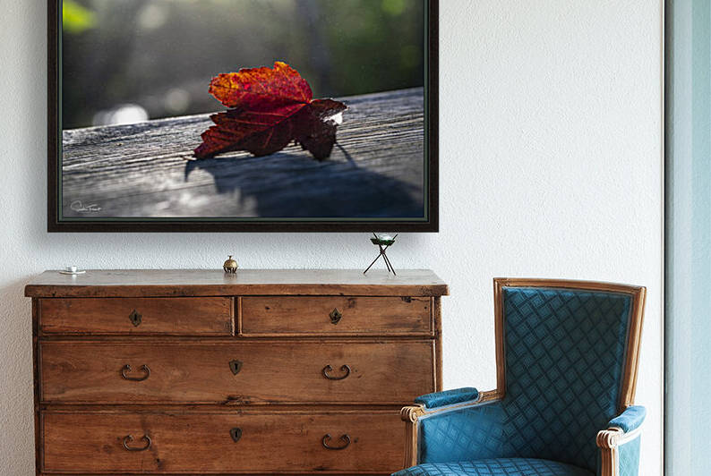 La brume qui danse by Sophie Thibault