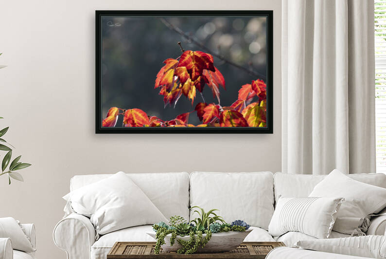 Rouge feu by Sophie Thibault