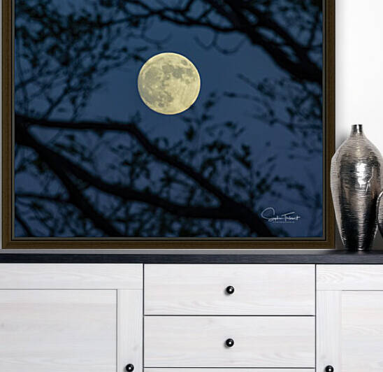 Lever de lune by Sophie Thibault