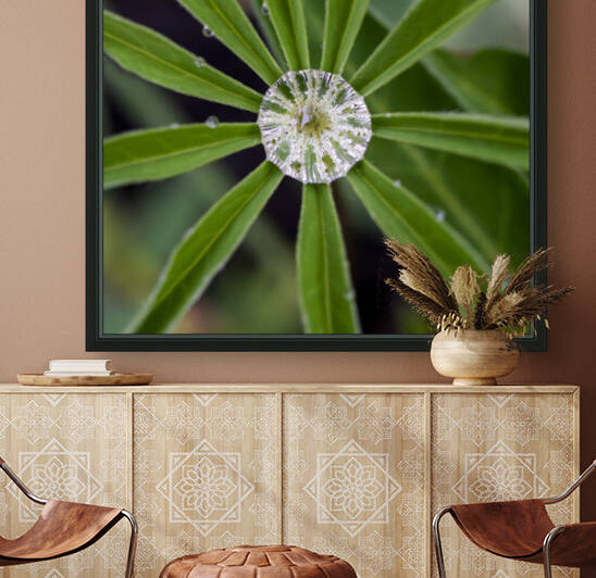 Le Lupin et sa goutte by Sophie Thibault