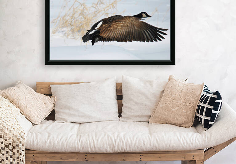 Winter Goose by Brenda Lawlor
