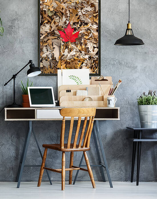 Maple Leaf by Jackson Brown