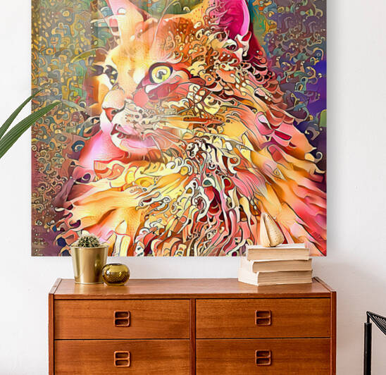 Technicolor Maine Coon by HH Photography of Florida