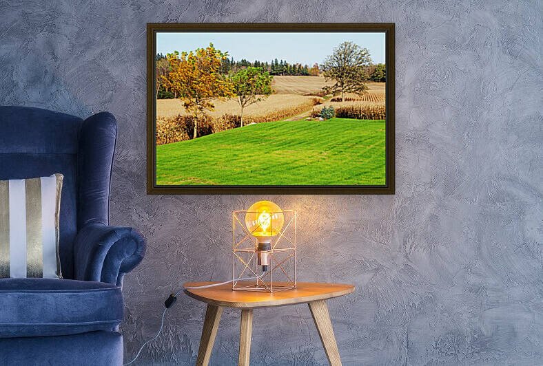 Corn Harvest Time by Deb Oppermann