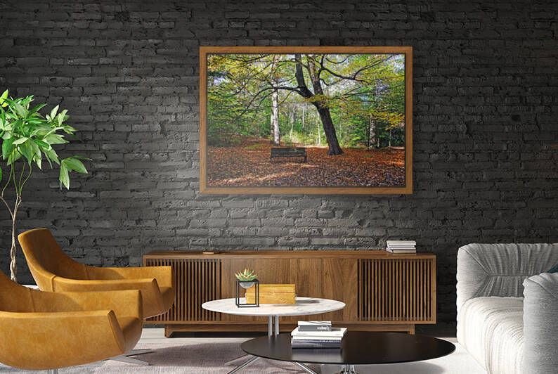 Filtered Light Autumn Maple by Deb Oppermann