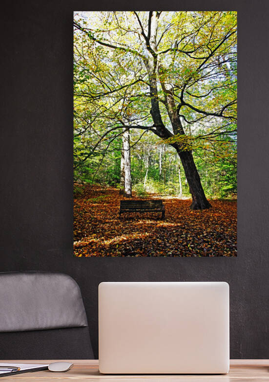 Under The Autumn Maple by Deb Oppermann