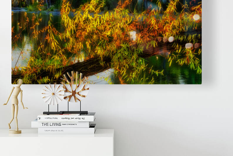 Fall in Agua Caliente Park by Eduardo Palazuelos