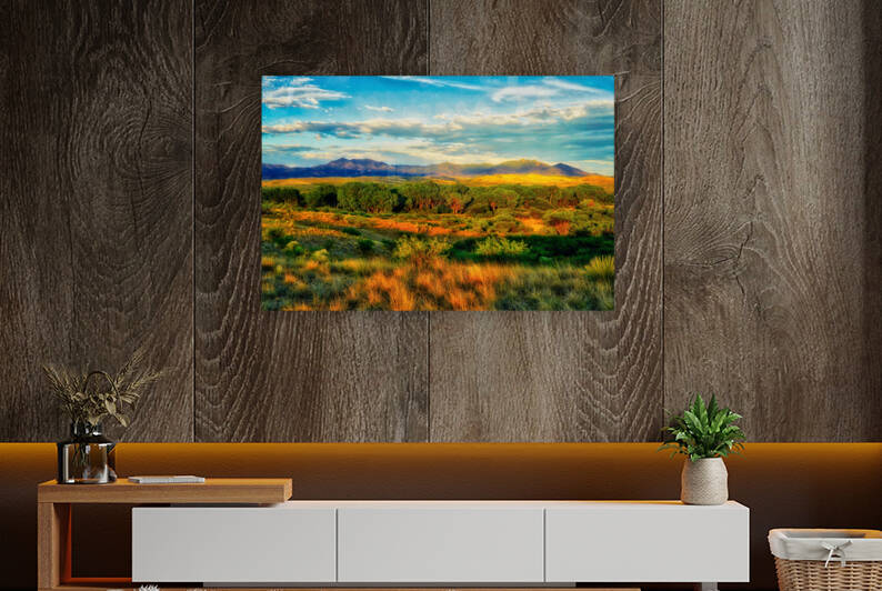 Whetstone Mountains from Las Cienegas by Eduardo Palazuelos