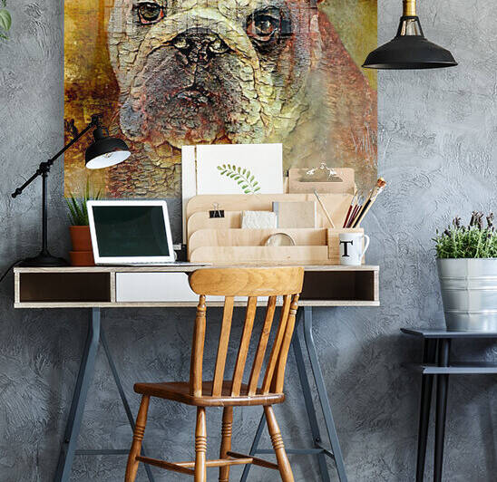 Portrait Of An English Bulldog by HH Photography of Florida