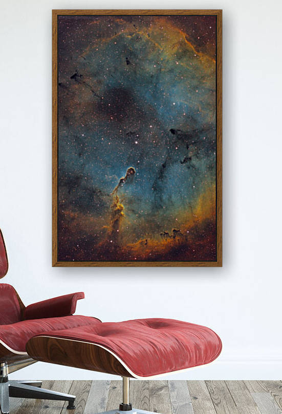 The Elephants Trunk Nebula by RAO Astrophotography