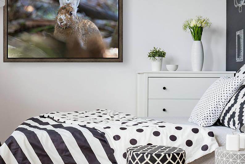  COULEURS DAUTOMNE by Jocelyn Galipeau