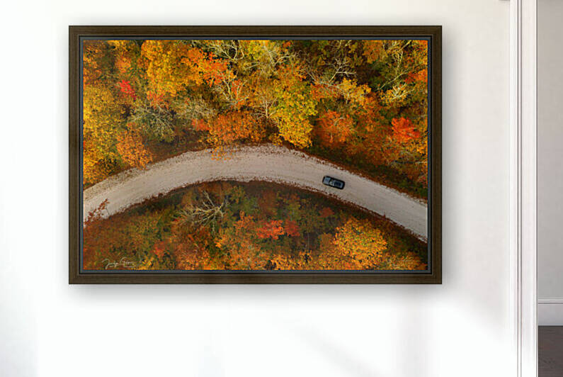 BALADE DAUTOMNE by Jocelyn Galipeau