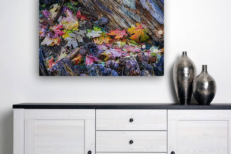 Dry Leaves collection by Eduardo Palazuelos