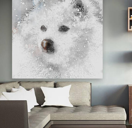  American Eskimo Snow Baby by HH Photography of Florida