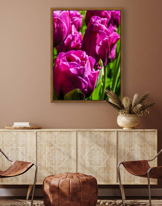 Super Closeup Spring Tulip Flowers from Keukenhof in the Netherlands 21 of 36 by 360 Studios