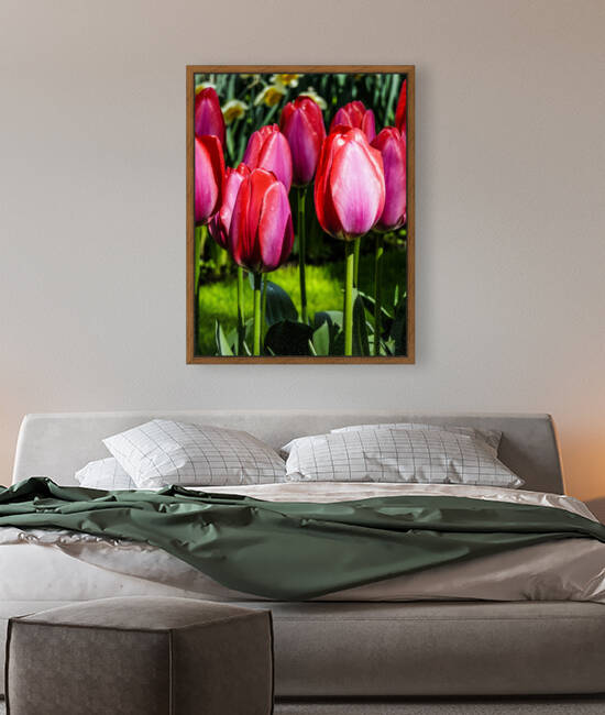 Super Closeup Spring Tulip Flowers from Keukenhof in the Netherlands 4 of 36 by 360 Studios