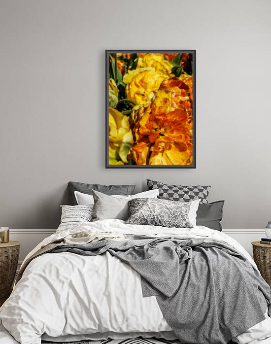 Super Closeup Spring Tulip Flowers from Keukenhof in the Netherlands 5 of 36 by 360 Studios