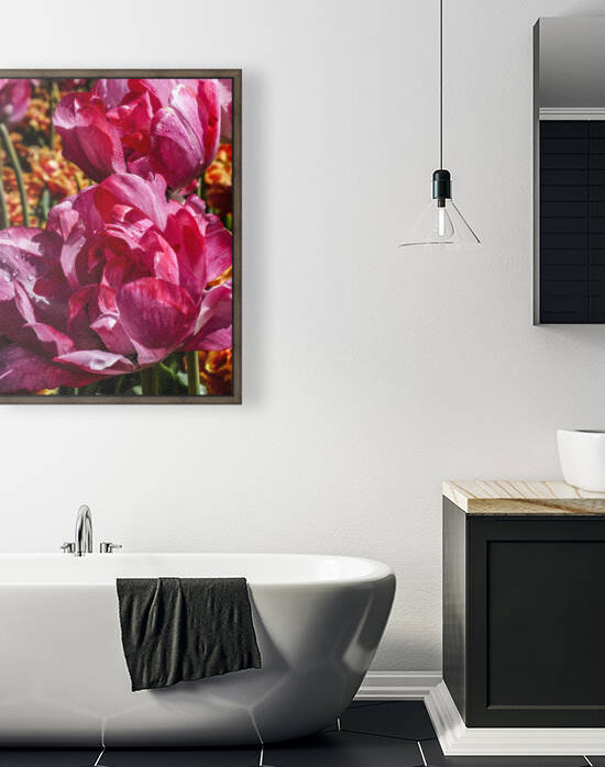 Super Closeup Spring Tulip Flowers from Keukenhof in the Netherlands 18 of 36 by 360 Studios