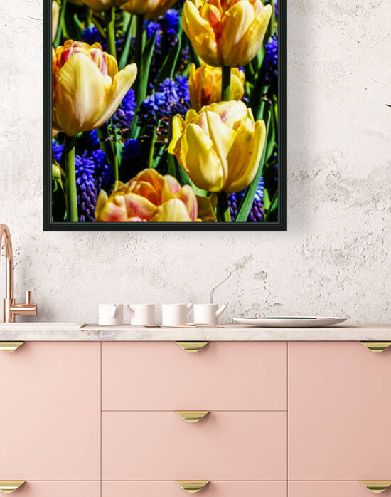 Super Closeup Spring Tulip Flowers from Keukenhof in the Netherlands 17 of 36 by 360 Studios