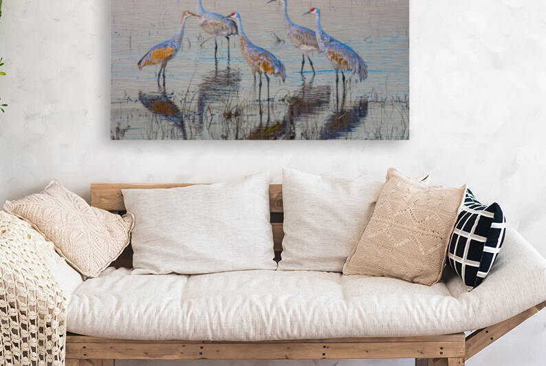 Sandhill Cranes at Sunrise by Joe Riederer