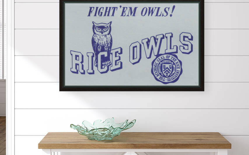 Vintage Rice Owls Art by Row One Brand