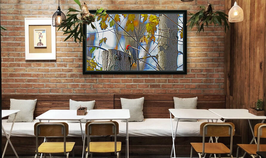 Red Bellied Woodpecker In Autumn by Deb Oppermann