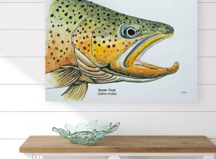 Brown Trout Head Painting by Stephen Emms