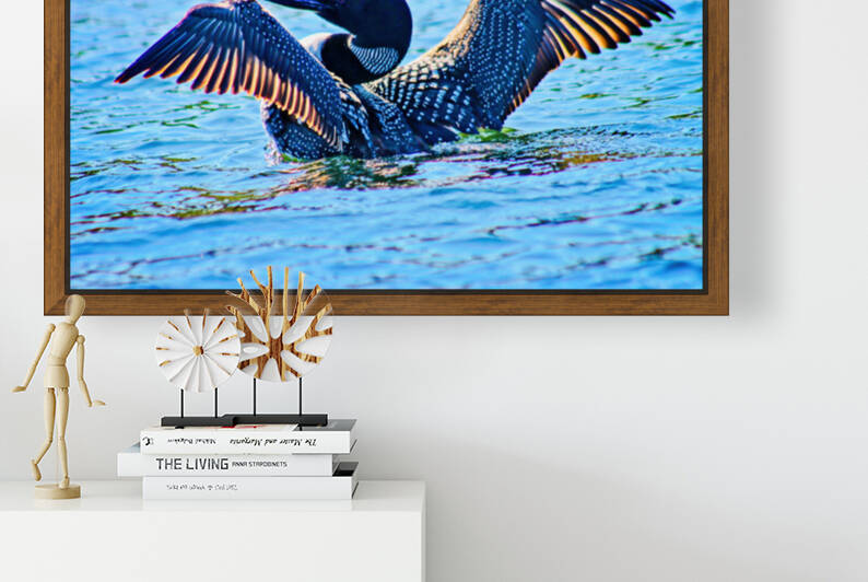 Loon 24 x 16  canvas by Photography by Wm