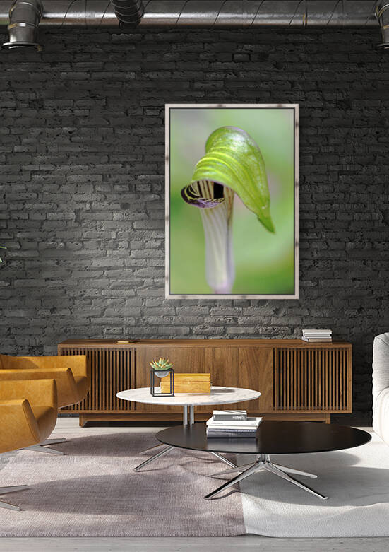 Where Is Jack by Deb Oppermann